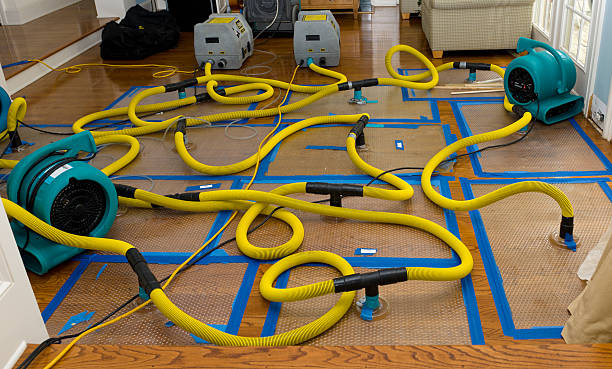 Professional Crawl Space Water Removal technician working in Sunny Side, GA